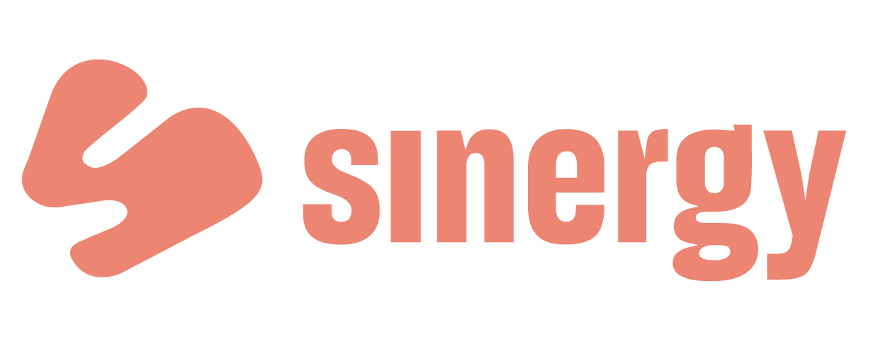 2024 - Rapport Annuel Sinergy