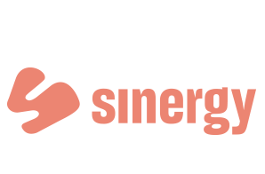 Rapport Annuel Sinergy